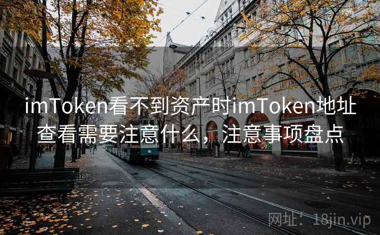 imToken看不到资产时imToken地址查看需要注意什么，注意事项盘点